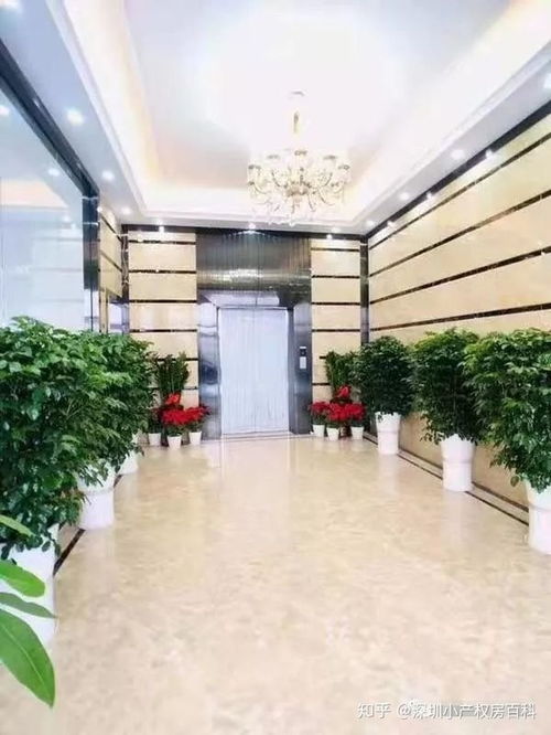 90后深圳坂田小产权房选购与装修指南